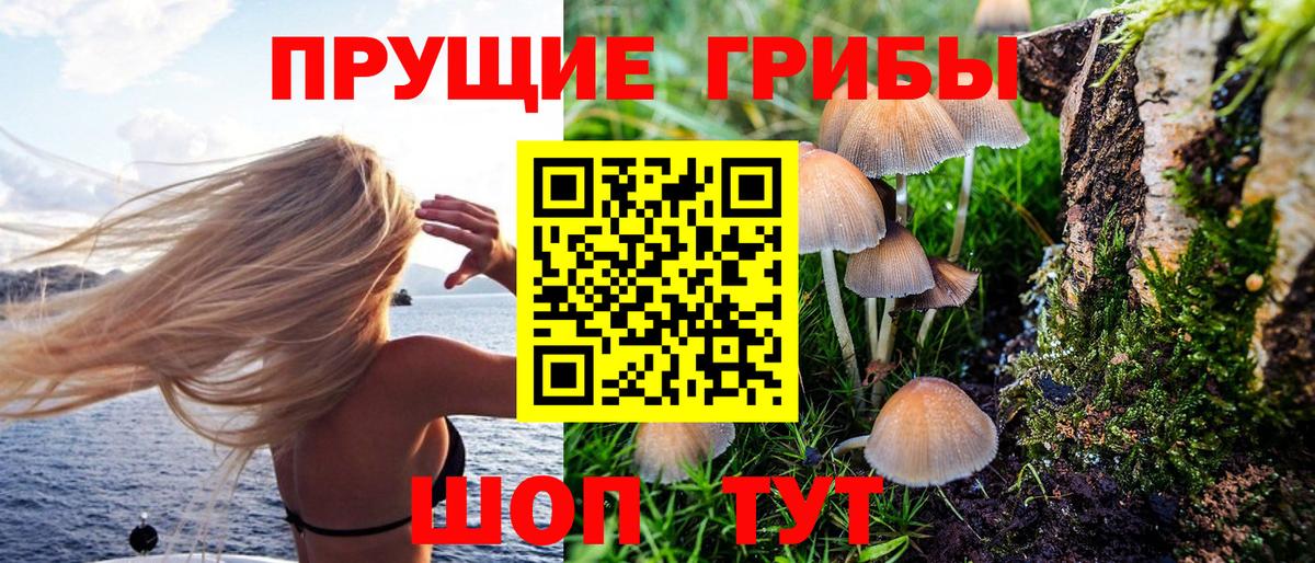 Галлюциногенные грибы мухоморы  Псилоцибиновые грибы мухоморы  Вход с VPN  Избербаш 