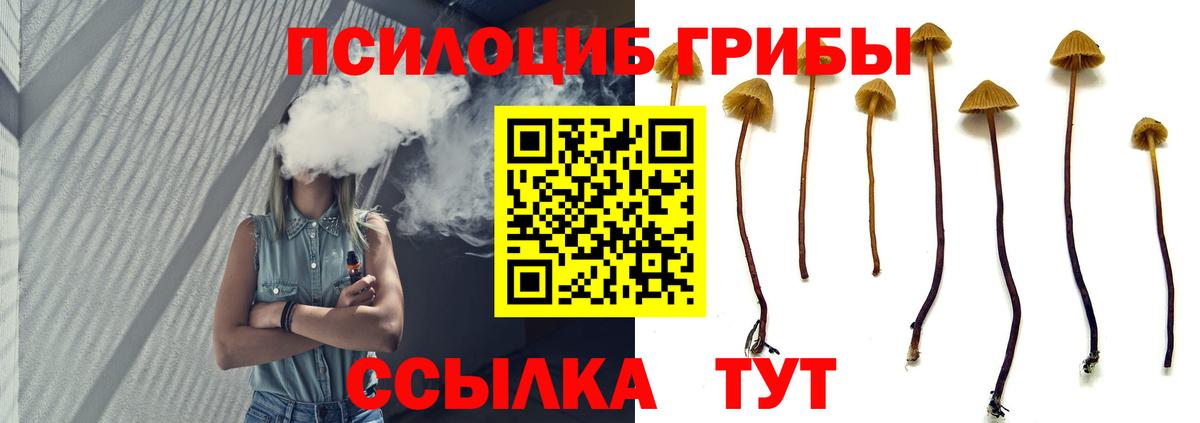 Галлюциногенные грибы прущие грибы Избербаш